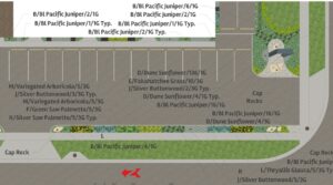 1000 Lakeview - Landscape plan detail.  An articulated hedgeline in landscape materials color-keyed to the Hardiplank door embrasures is far more attractive and entertaining inside and out than a contiguous hedge.  Put your landscapes to WORK.