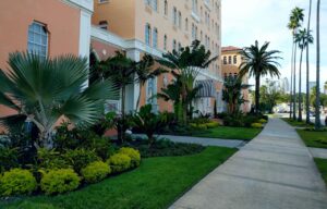 Hotel frontage with downtown Tampa in view.