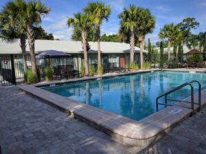 The pool deck and surrounds.  Resort-like with great visibility and privacy at once.  Ridgelines interrupted and defined by green trees.  Lots of texture and light and a bridged color palette.  This is what a pool is all about.