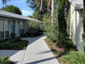 Pedestrian pathway to the "outside" world.  One can be happy here.