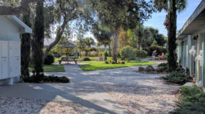 Installed landscape and amenities. Neighbors socializing. Imagine coming home to this after a tough commute from work. Every unit looks out onto a park. Balm in Gilead.