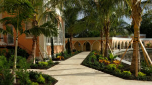 Installed landscape - palm allée.  Note how the fronds echo the shape of the Gothic arches.