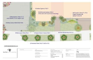 Landscape Plan Detail Trees